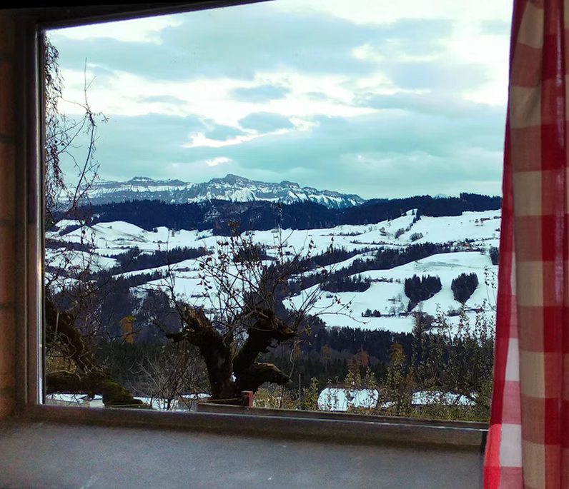 Bild 17