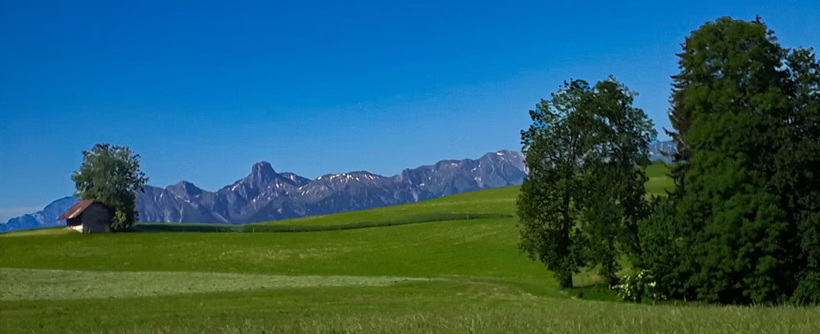 Bild 13